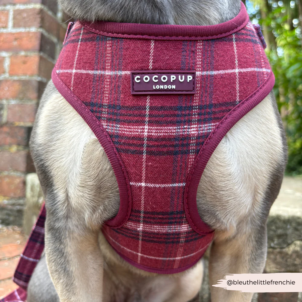Mulberry Plaid Adjustable Neck HARNESS - Image 5