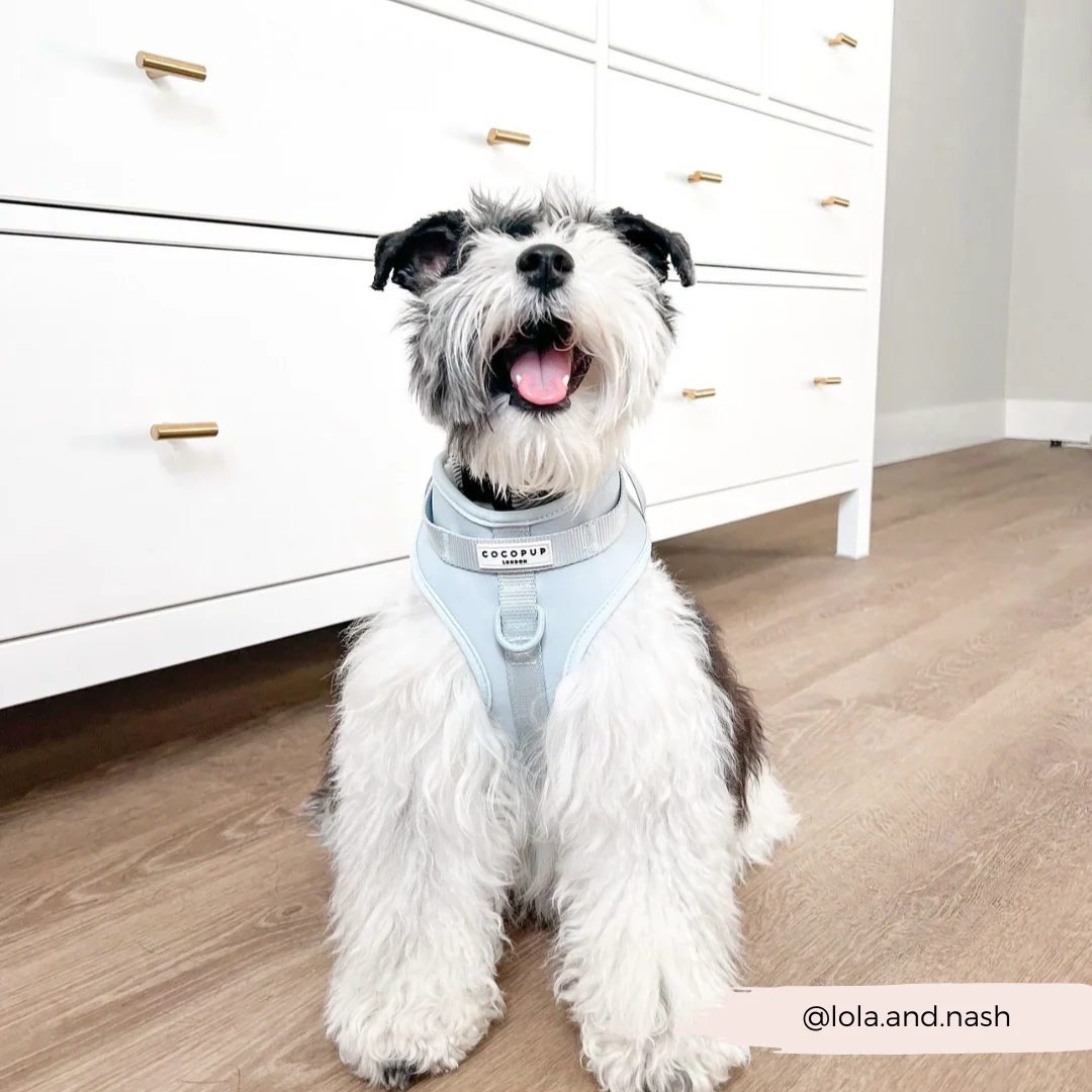 NAKD Adjustable Neck Harness - Bubblegum - Image 17