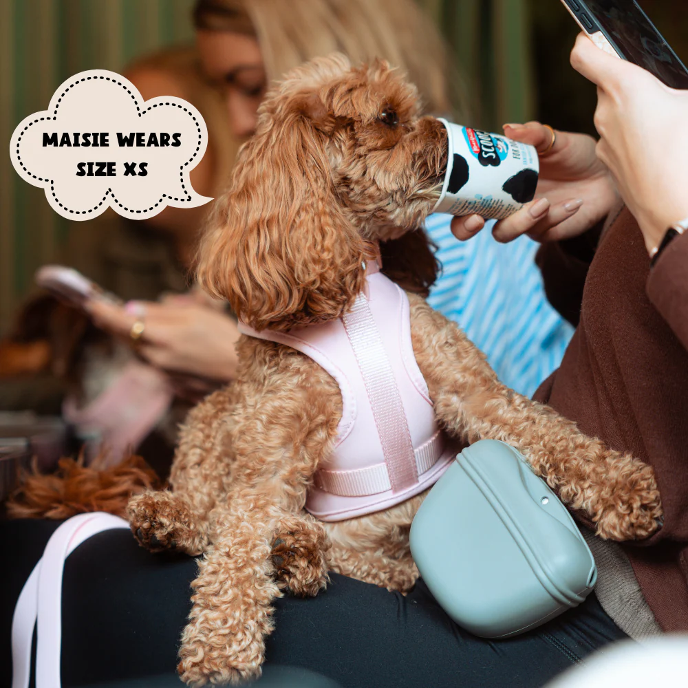 NAKD Adjustable Neck Harness - Candyfloss - Image 11