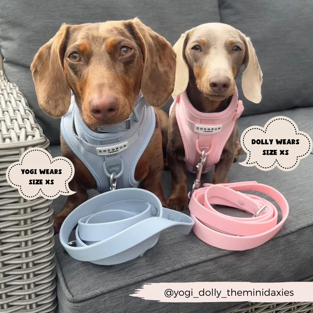NAKD Adjustable Neck Harness - Candyfloss - Image 15