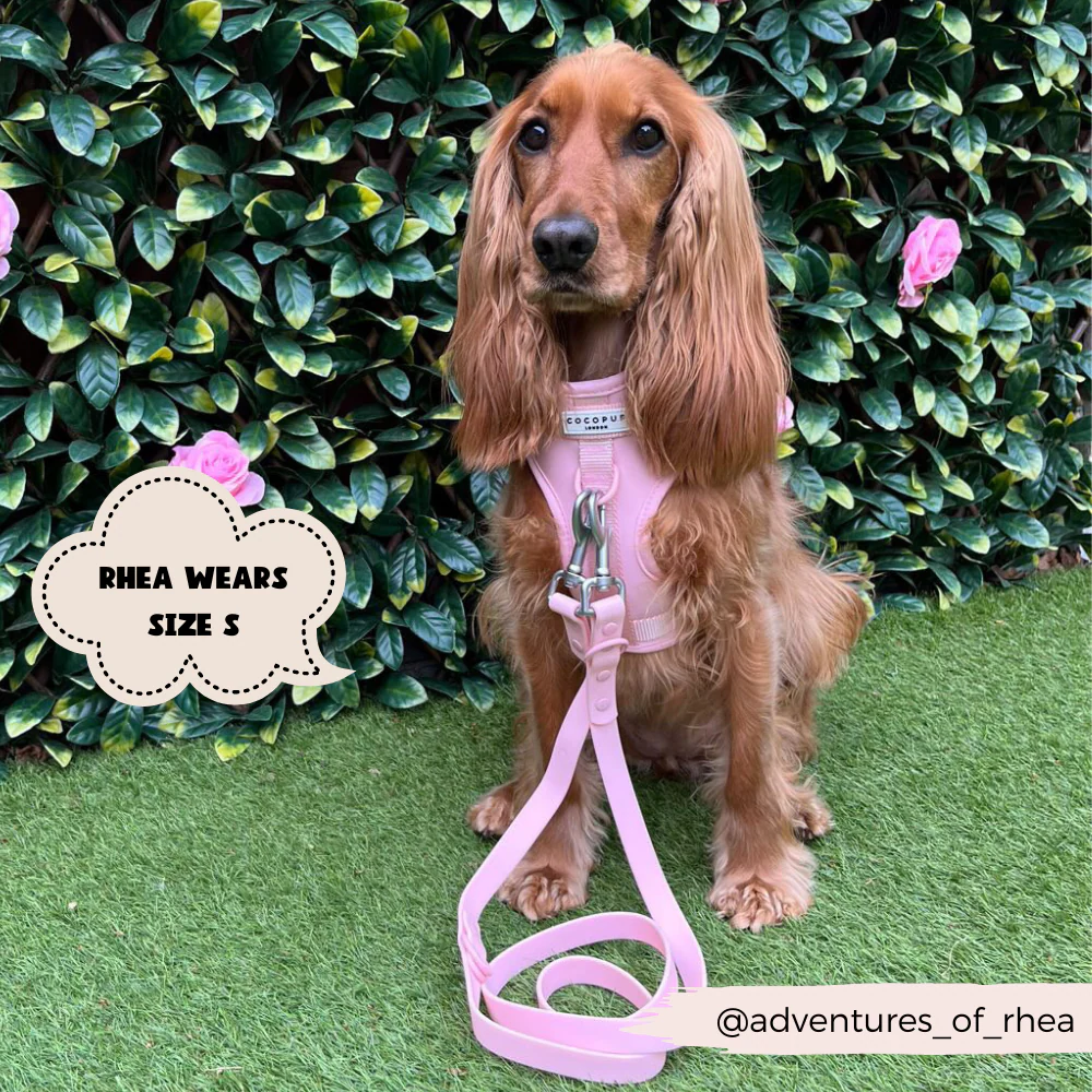 NAKD Adjustable Neck Harness - Candyfloss - Image 17