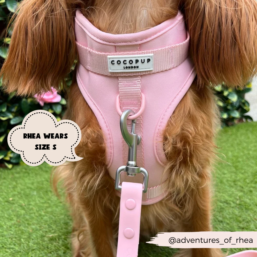 NAKD Adjustable Neck Harness - Candyfloss - Image 19