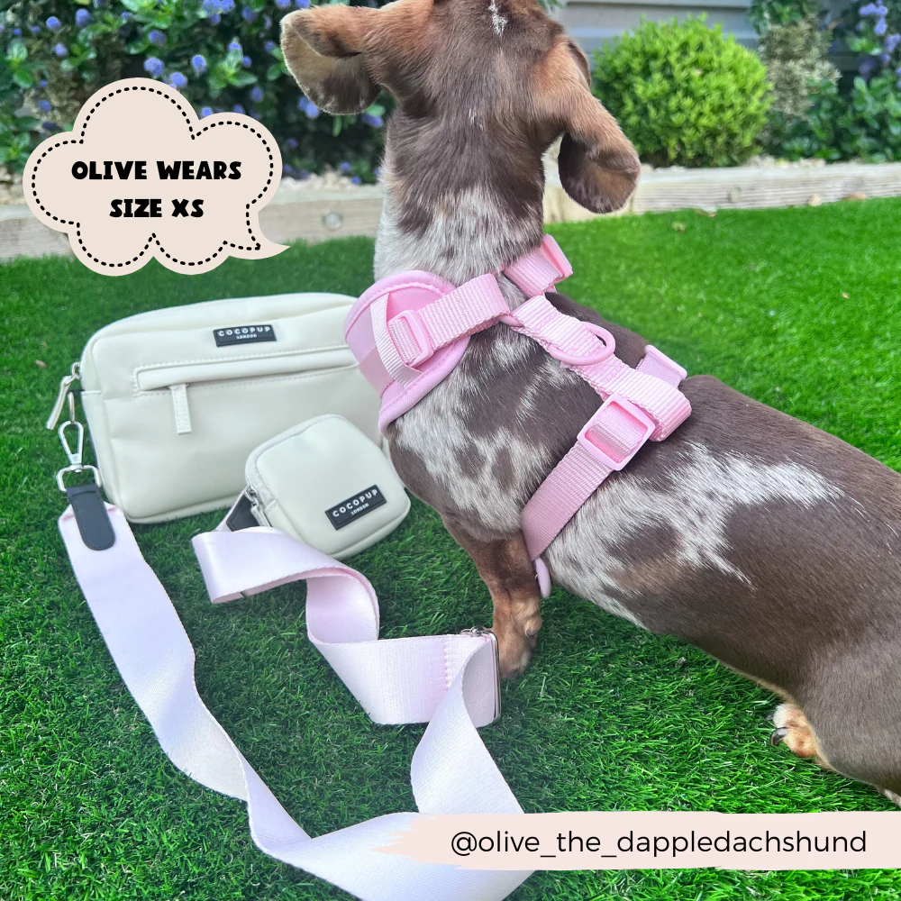 NAKD Adjustable Neck Harness - Candyfloss - Image 20