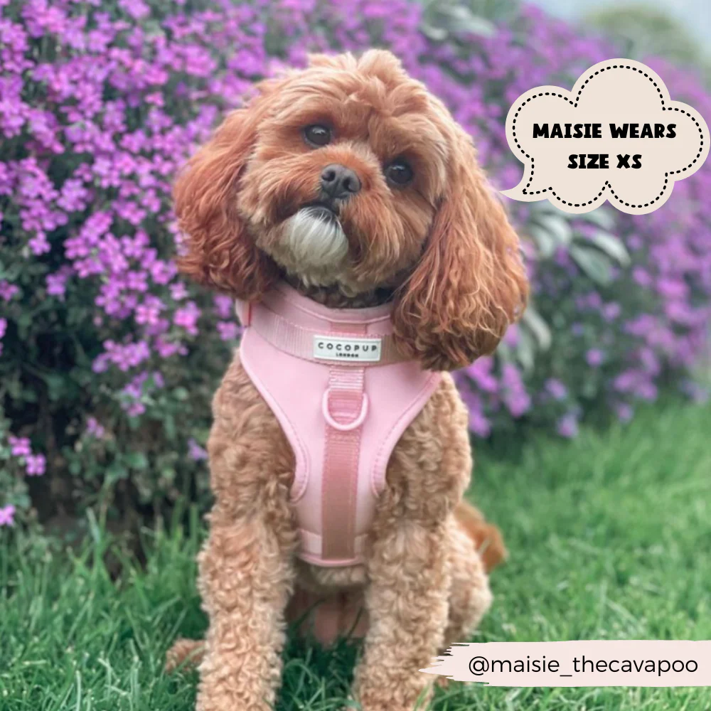 NAKD Adjustable Neck Harness - Candyfloss - Image 22