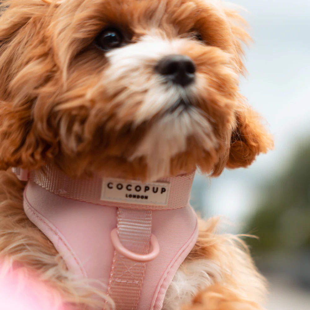 NAKD Adjustable Neck Harness - Candyfloss - Image 8