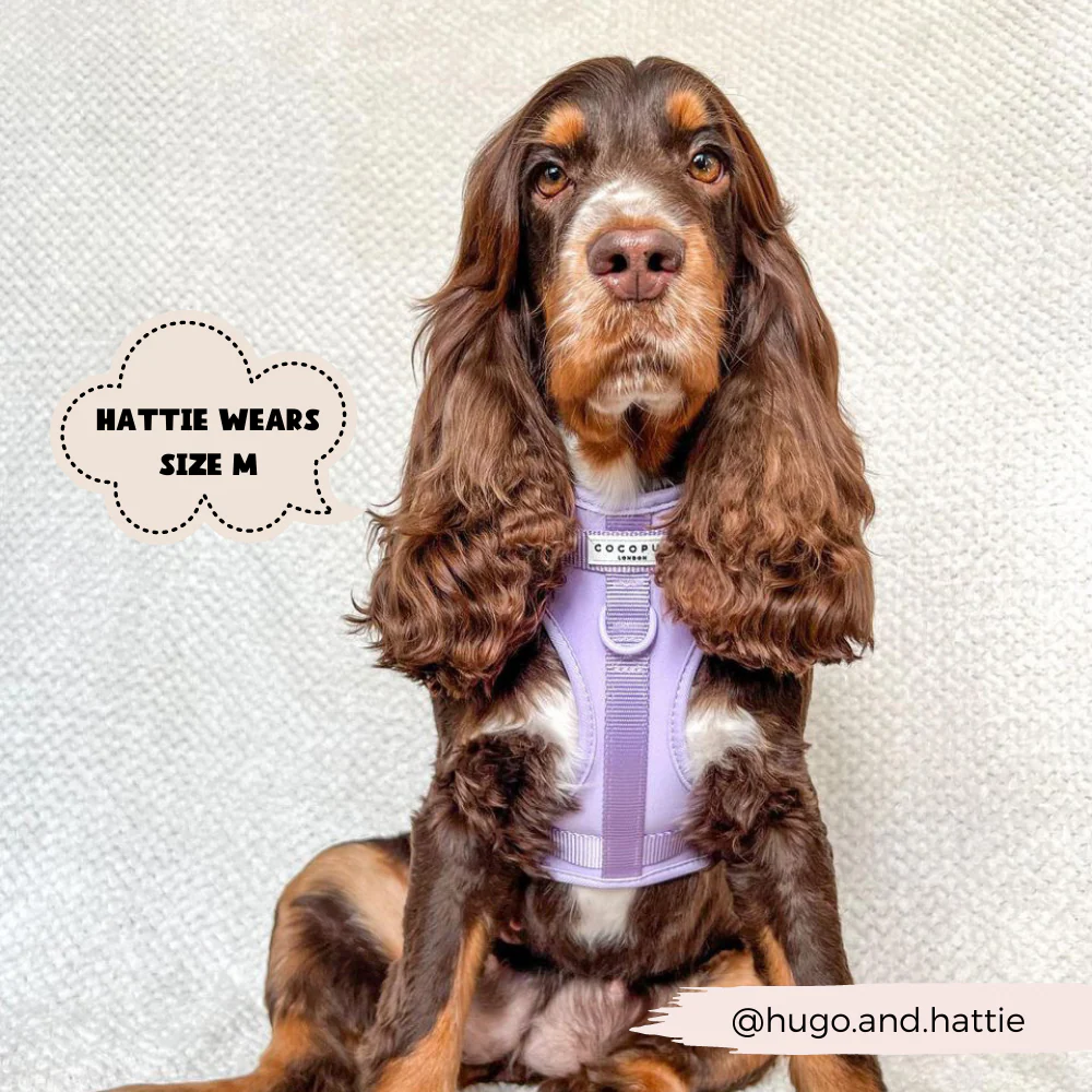 NAKD Adjustable Neck Harness, Lead, Collar & Poop Bag Holder Bundle - Parma Violets - Image 9
