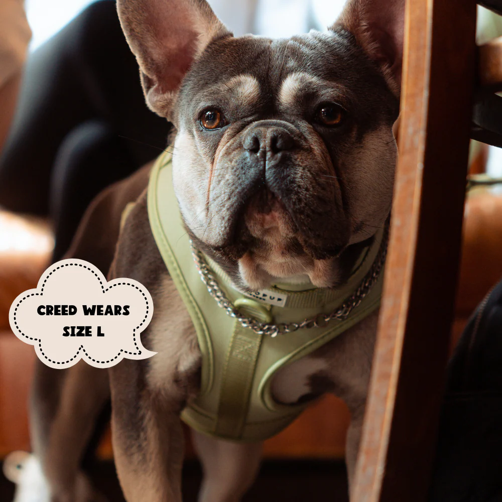 NAKD Adjustable Neck Harness - Matcha - Image 11