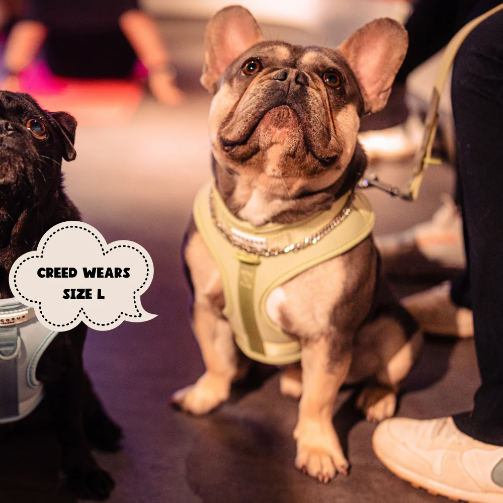 NAKD Adjustable Neck Harness - Matcha - Image 13