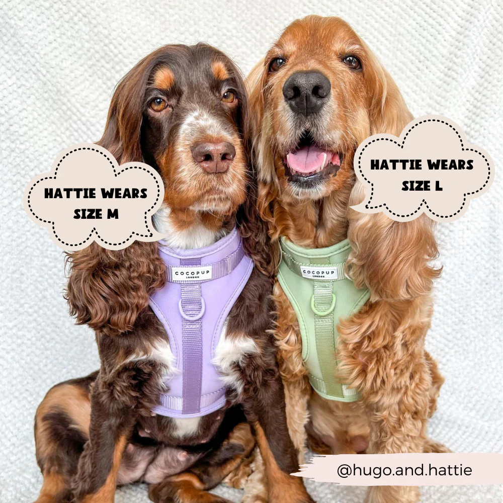 NAKD Adjustable Neck Harness - Matcha - Image 7
