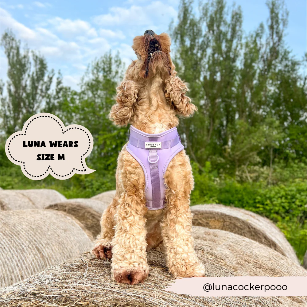 NAKD Adjustable Neck Harness - Parma Violets - Image 10