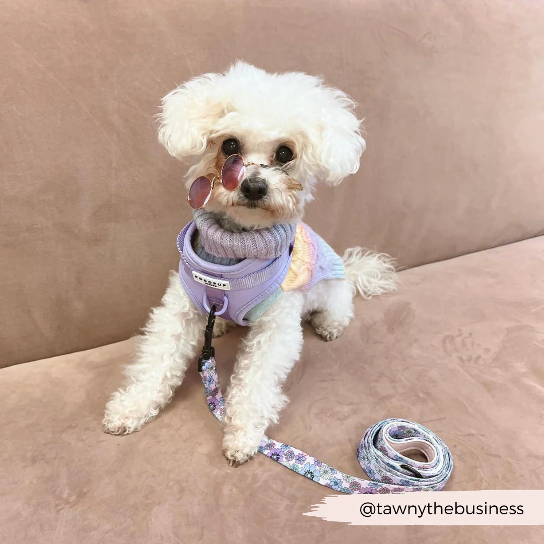 NAKD Adjustable Neck Harness - Parma Violets - Image 18