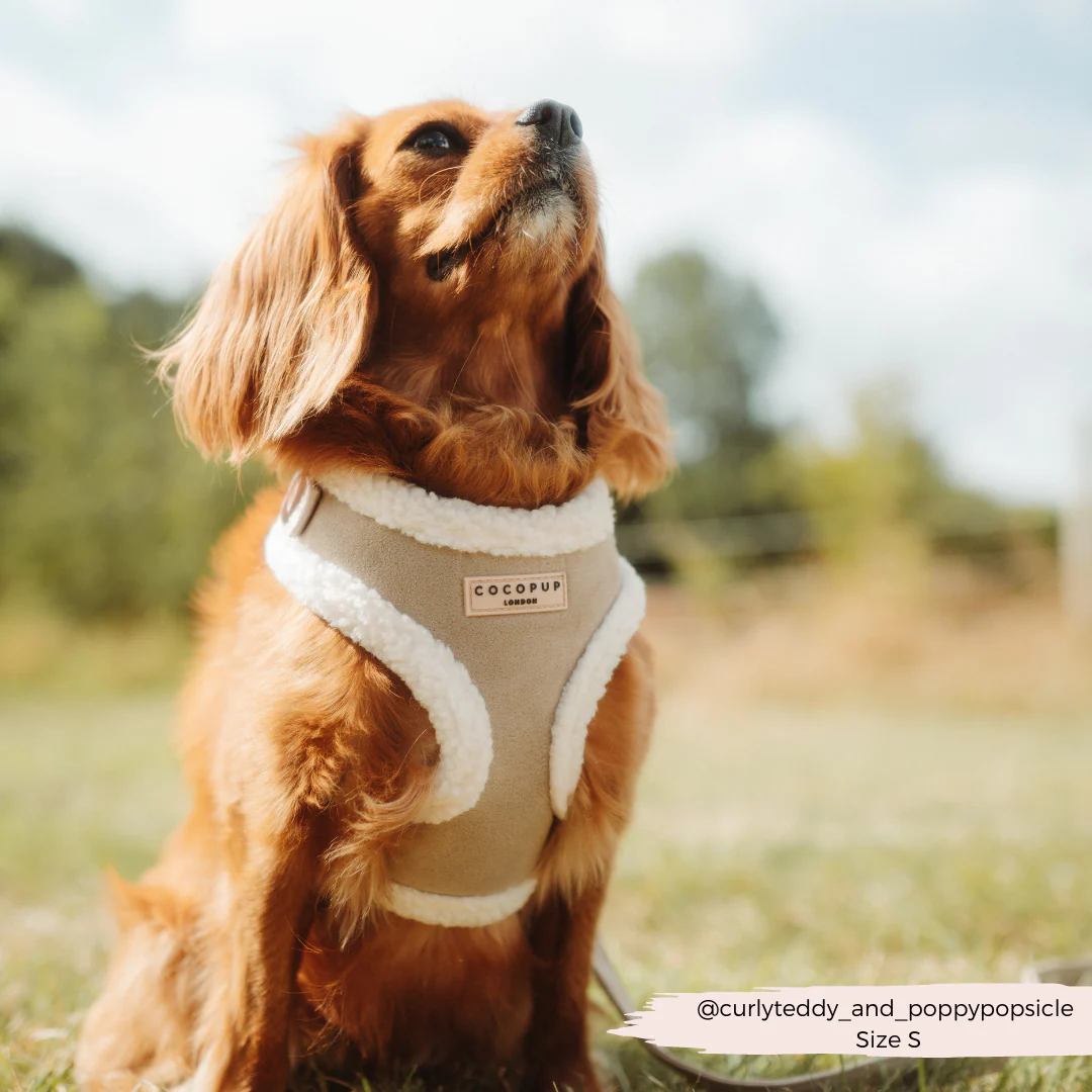 Nude Aviator Adjustable Neck HARNESS - Image 5