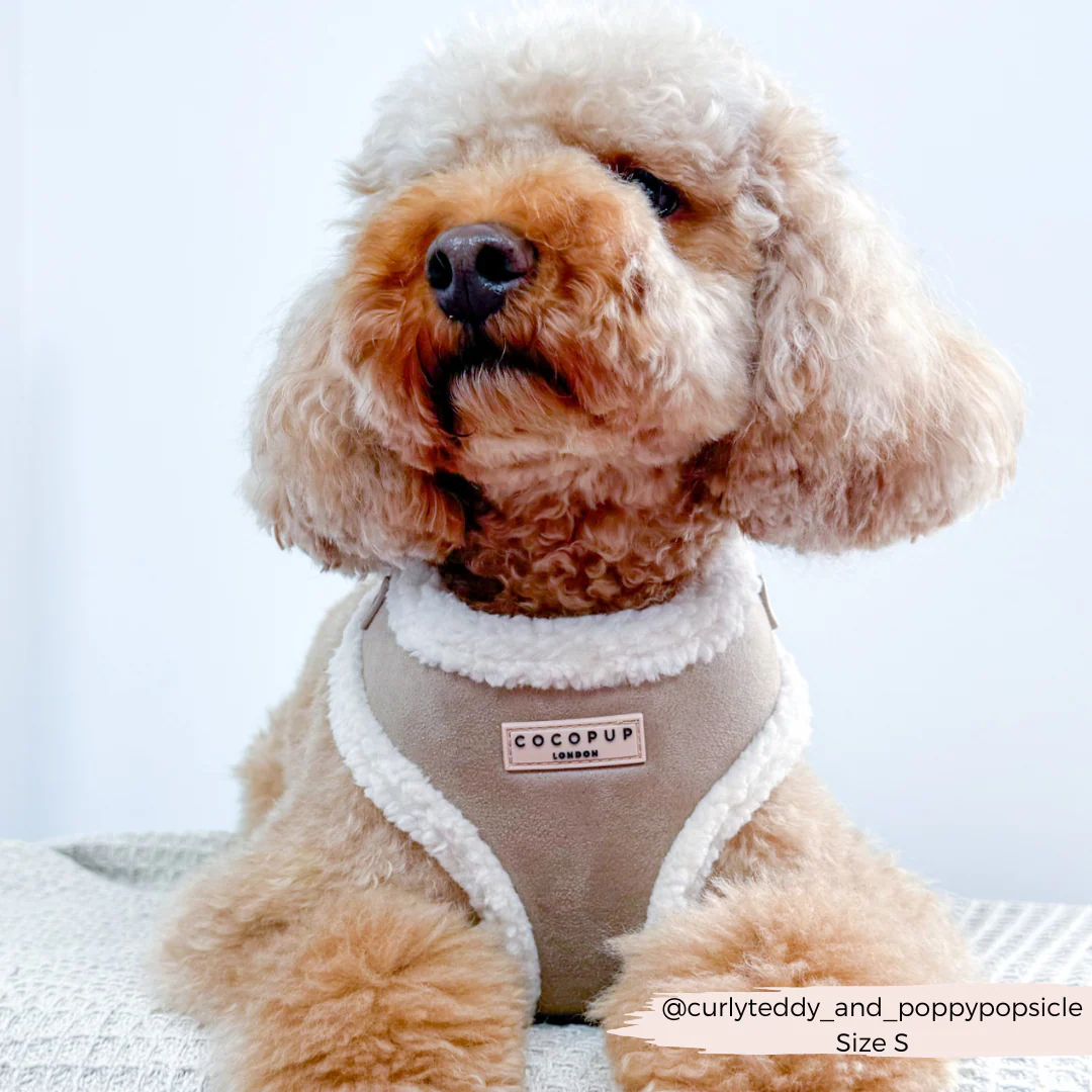 Nude Aviator Adjustable Neck HARNESS - Image 8