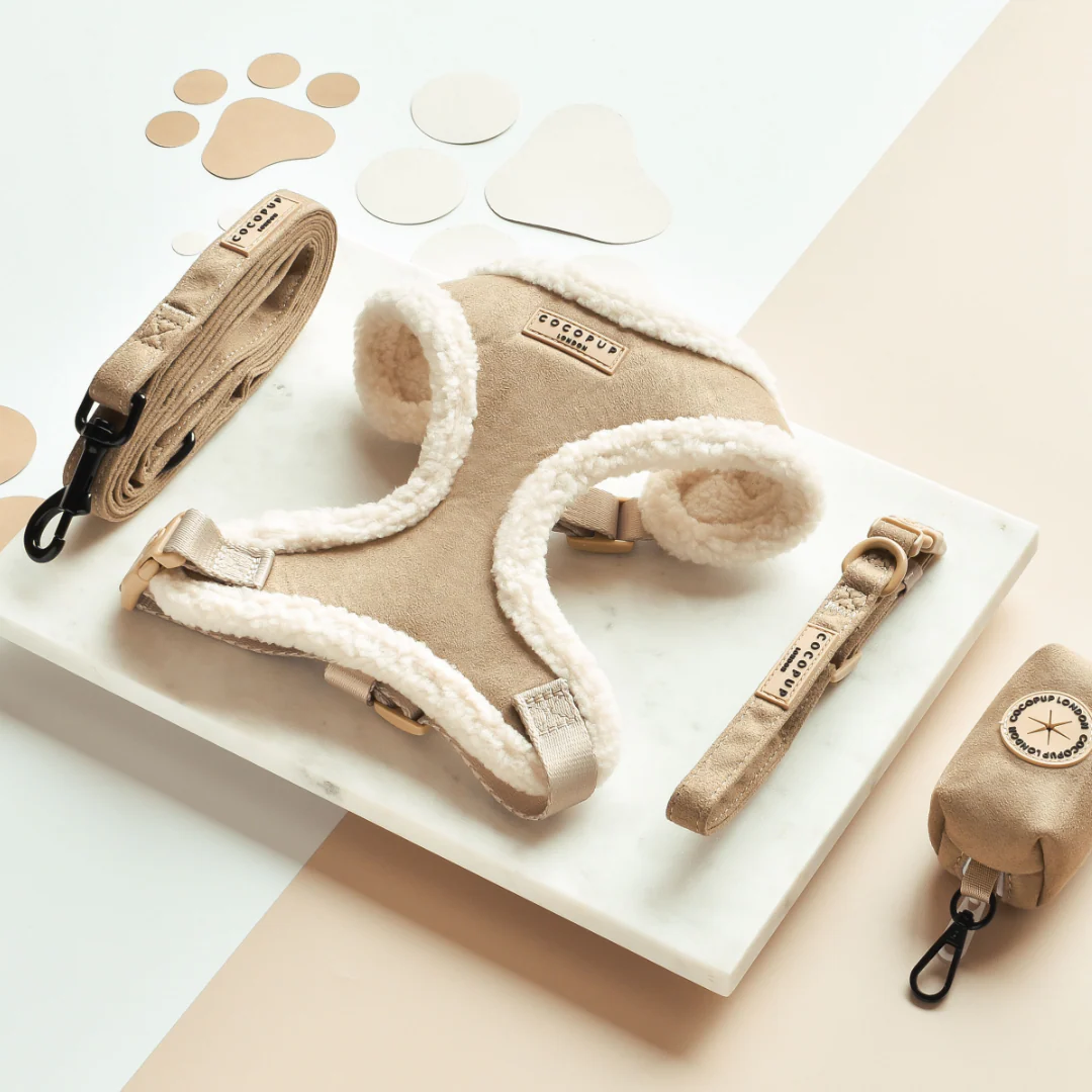 Nude Aviator COLLAR - Image 3