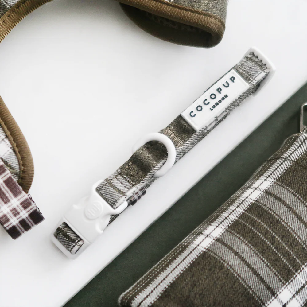 Olive Check COLLAR