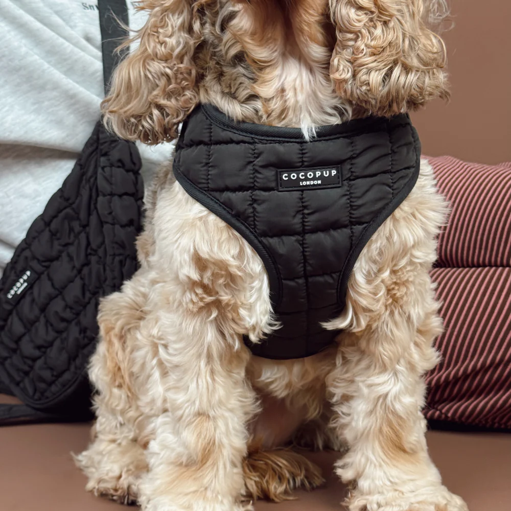 Onyx Quilted Adjustable Neck HARNESS - Image 6