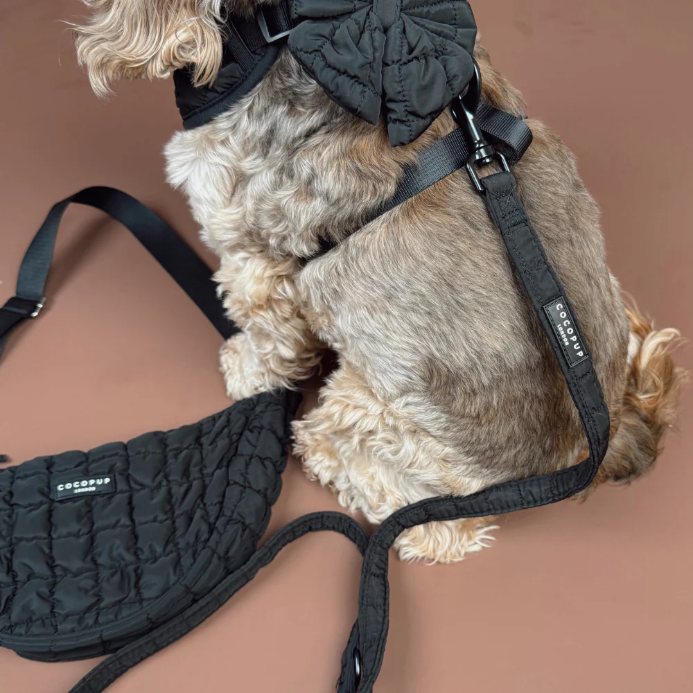 Onyx Quilted Lead - Image 3