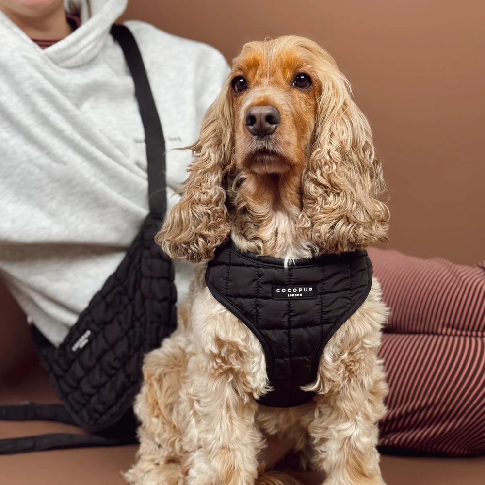 Onyx Quilted Adjustable Neck HARNESS - Image 4
