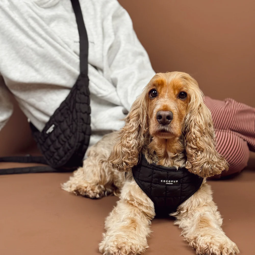 Onyx Quilted Adjustable Neck HARNESS - Image 7