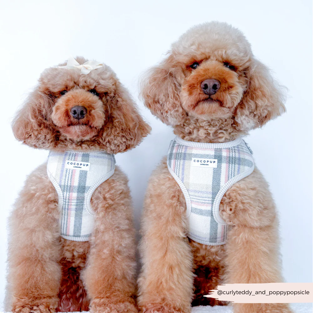 Oxford Plaid Adjustable Neck HARNESS - Image 10
