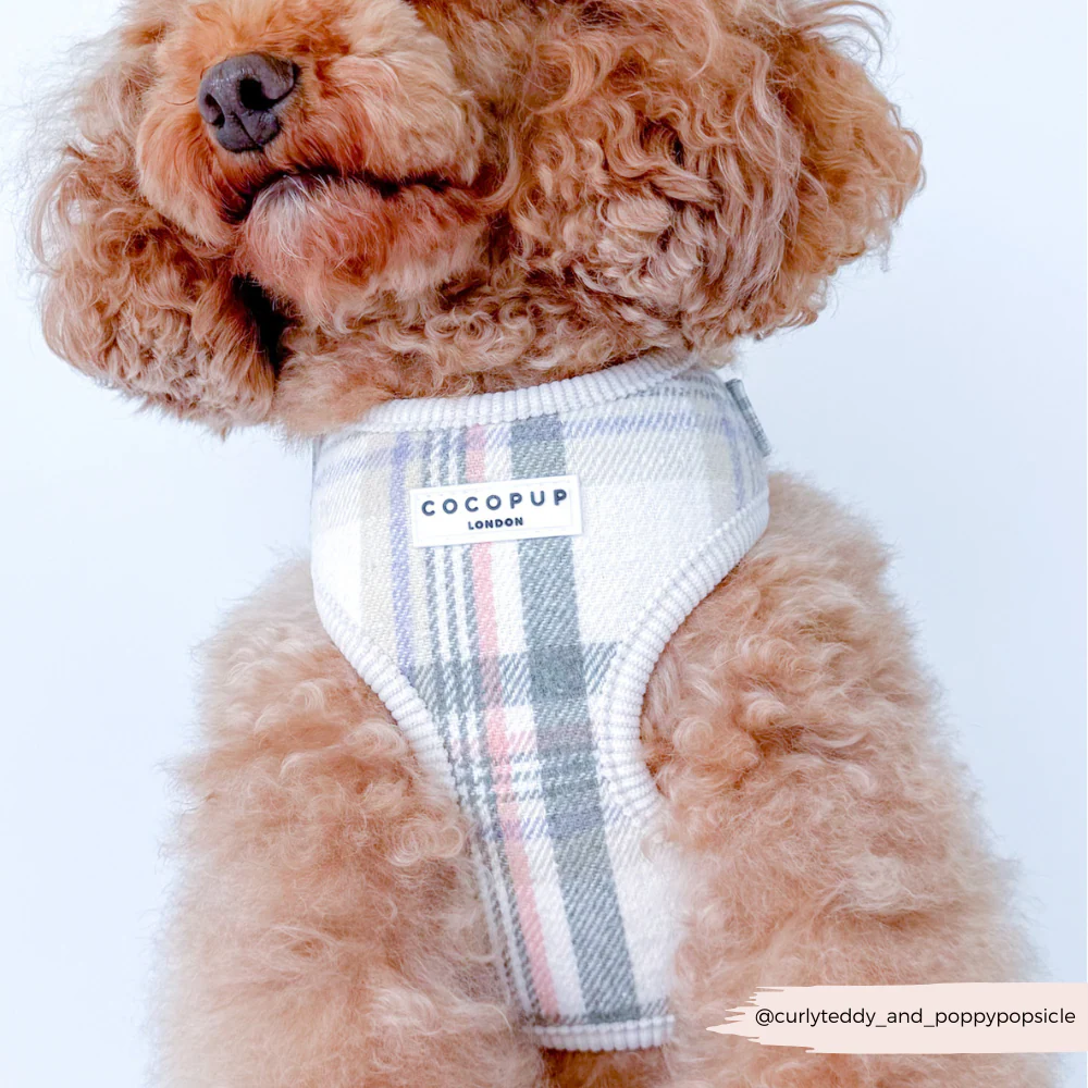 Oxford Plaid Adjustable Neck Harness, Lead & Collar Bundle - Image 12
