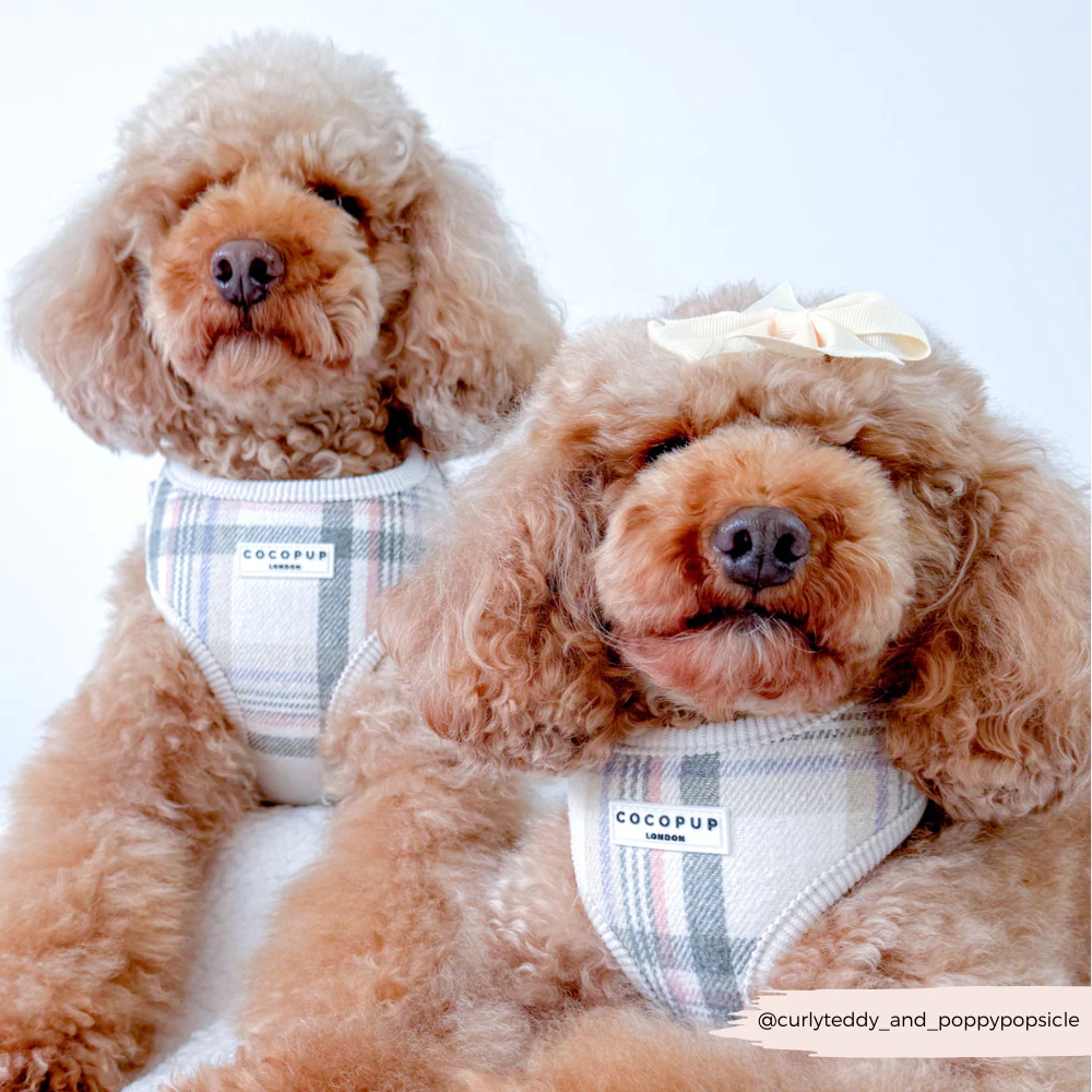 Oxford Plaid Adjustable Neck Harness, Lead & Collar Bundle - Image 13