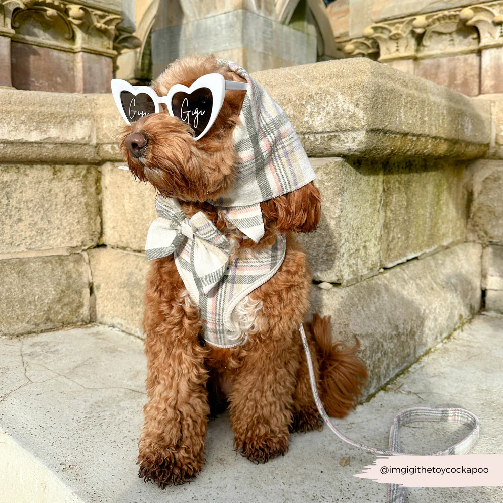 Oxford Plaid Lead - Image 4