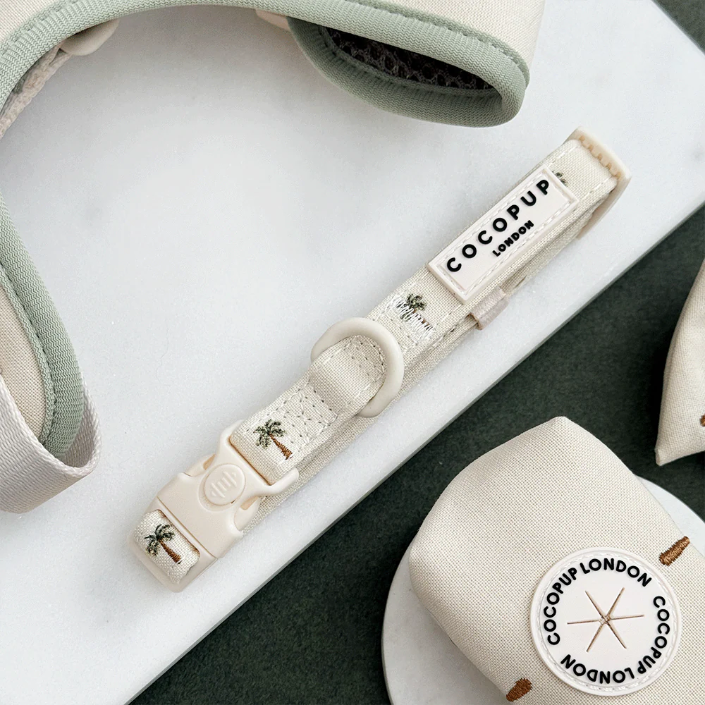 Palm Springs COLLAR