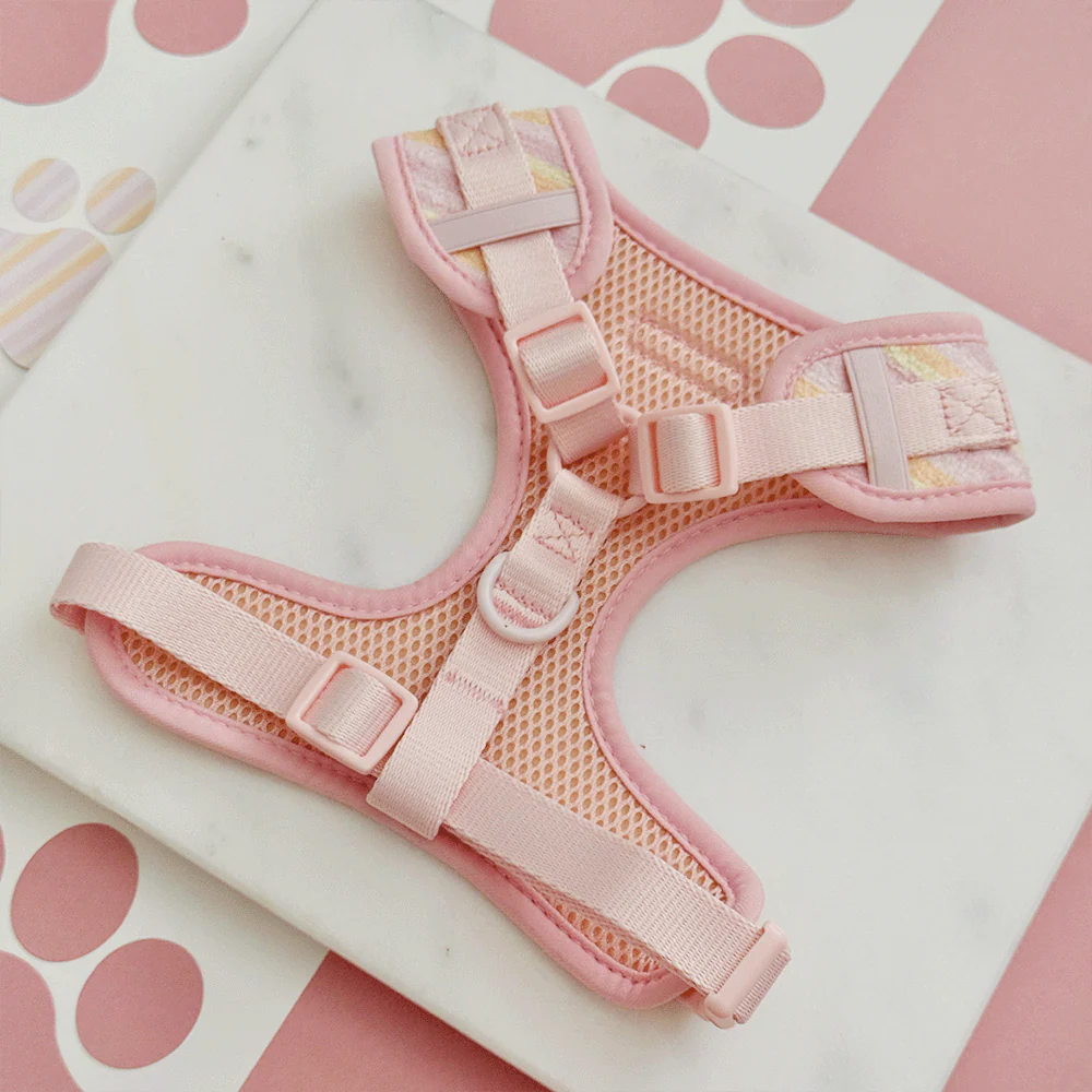 Pastel Stripes Adjustable Neck HARNESS - Image 3