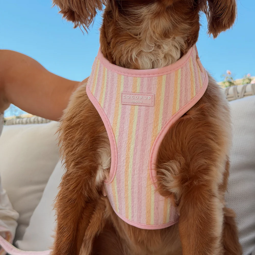 Pastel Stripes Adjustable Neck HARNESS - Image 4