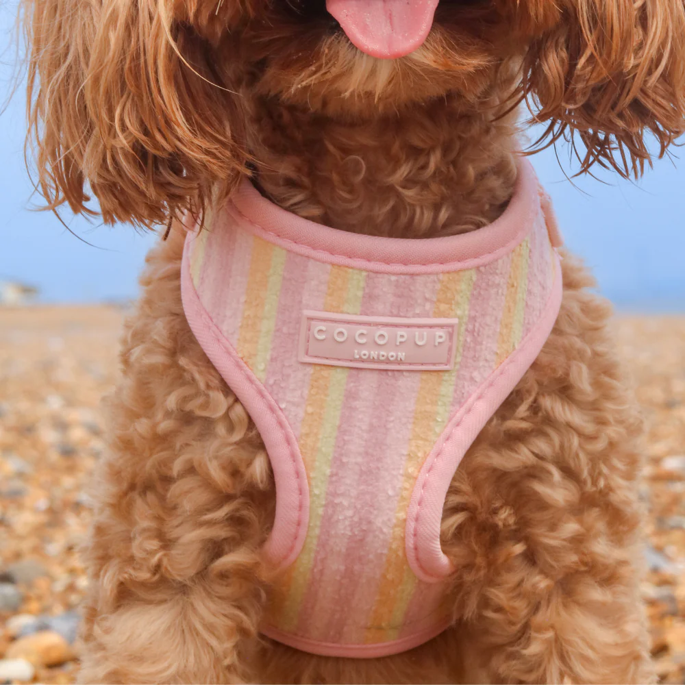 Pastel Stripes Adjustable Neck HARNESS - Image 5