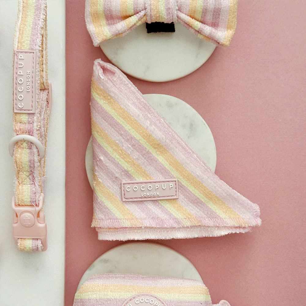 Pastel Stripes Bandana
