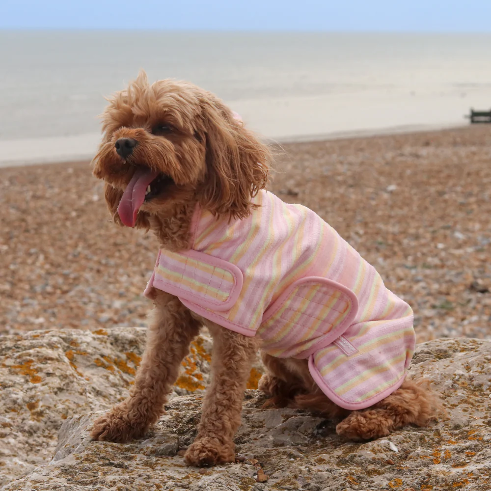Pastel Stripes Drying Robe - Image 6