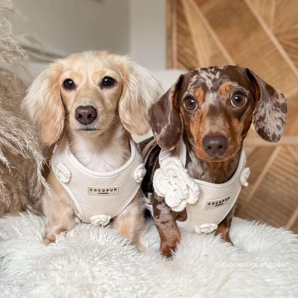 Petal Patch Adjustable Neck HARNESS - Image 9