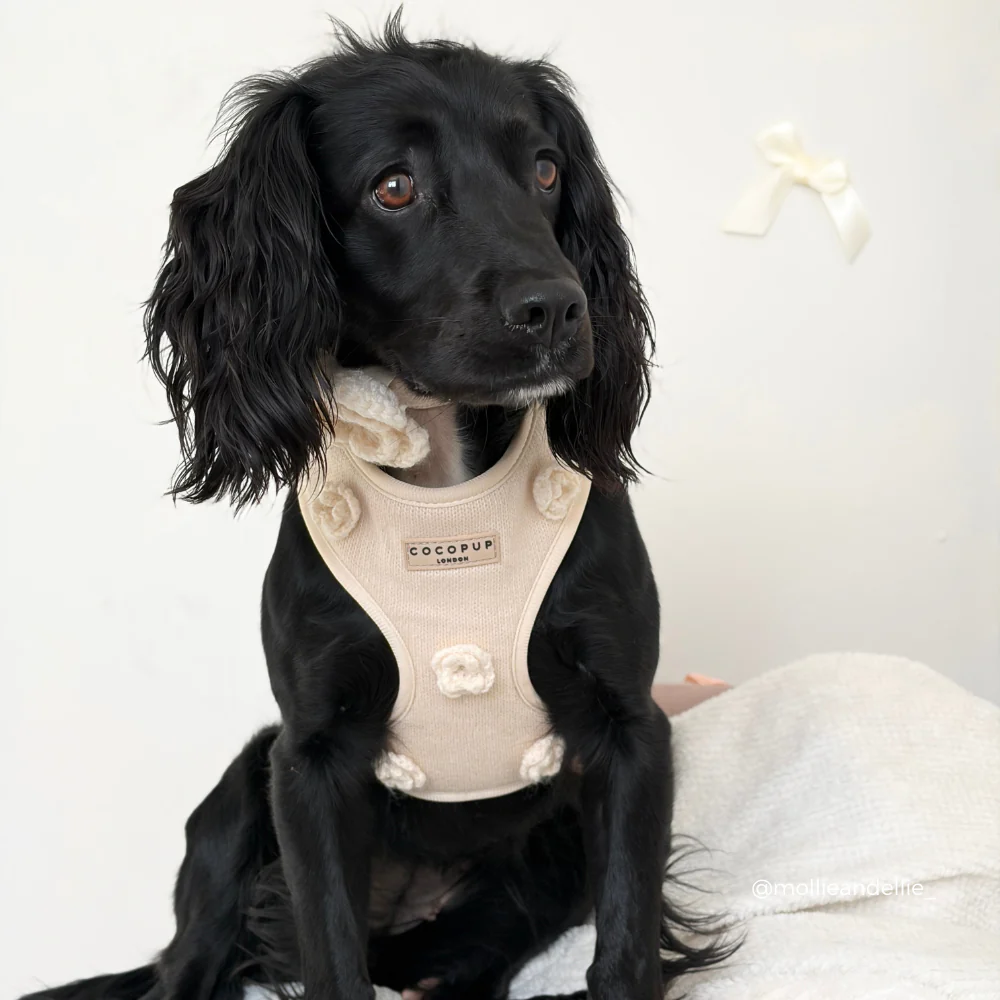Petal Patch Adjustable Neck HARNESS - Image 19