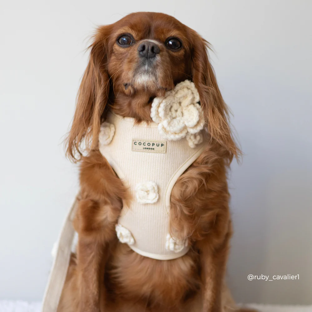Petal Patch Adjustable Neck HARNESS - Image 16