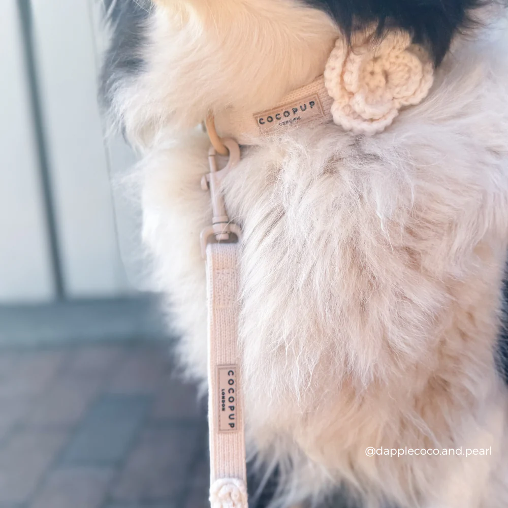Petal Patch COLLAR - Image 3