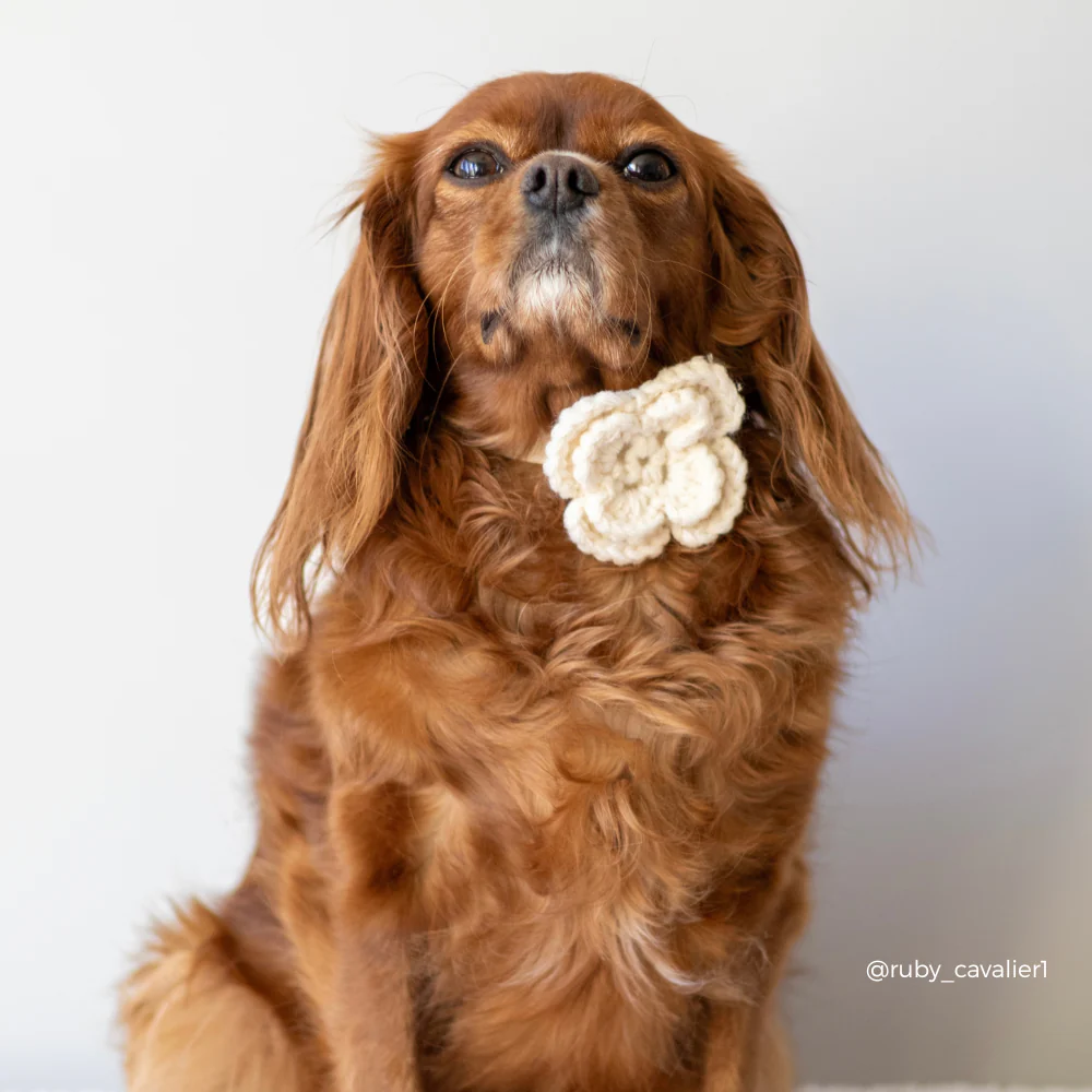 Petal Patch Collar Flower - Image 4