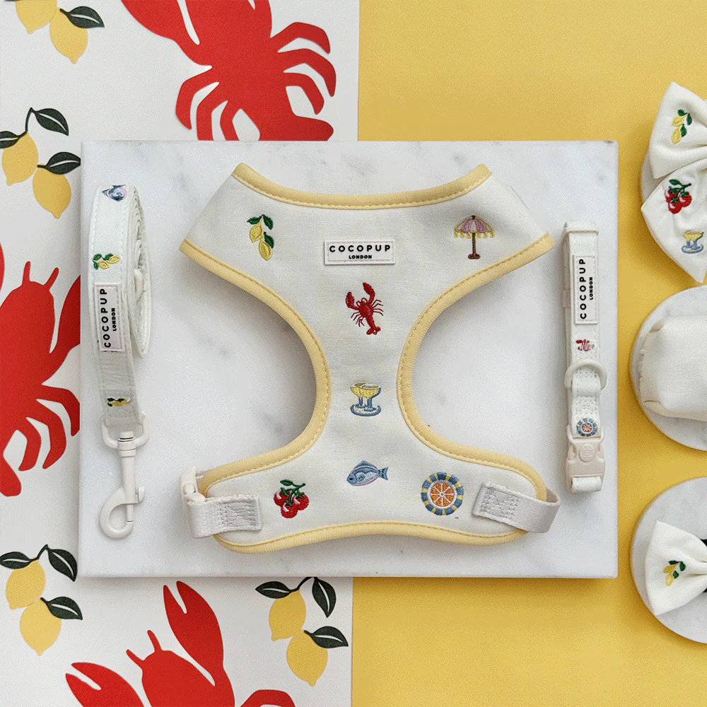 Picnic in Positano Adjustable Neck Harness, Lead & Collar Bundle - Image 7