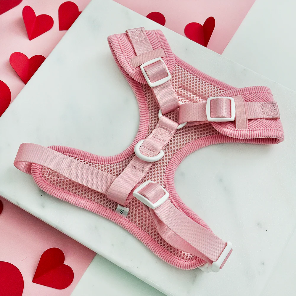 Pink Heartstrings Cord Adjustable Neck HARNESS - Image 3