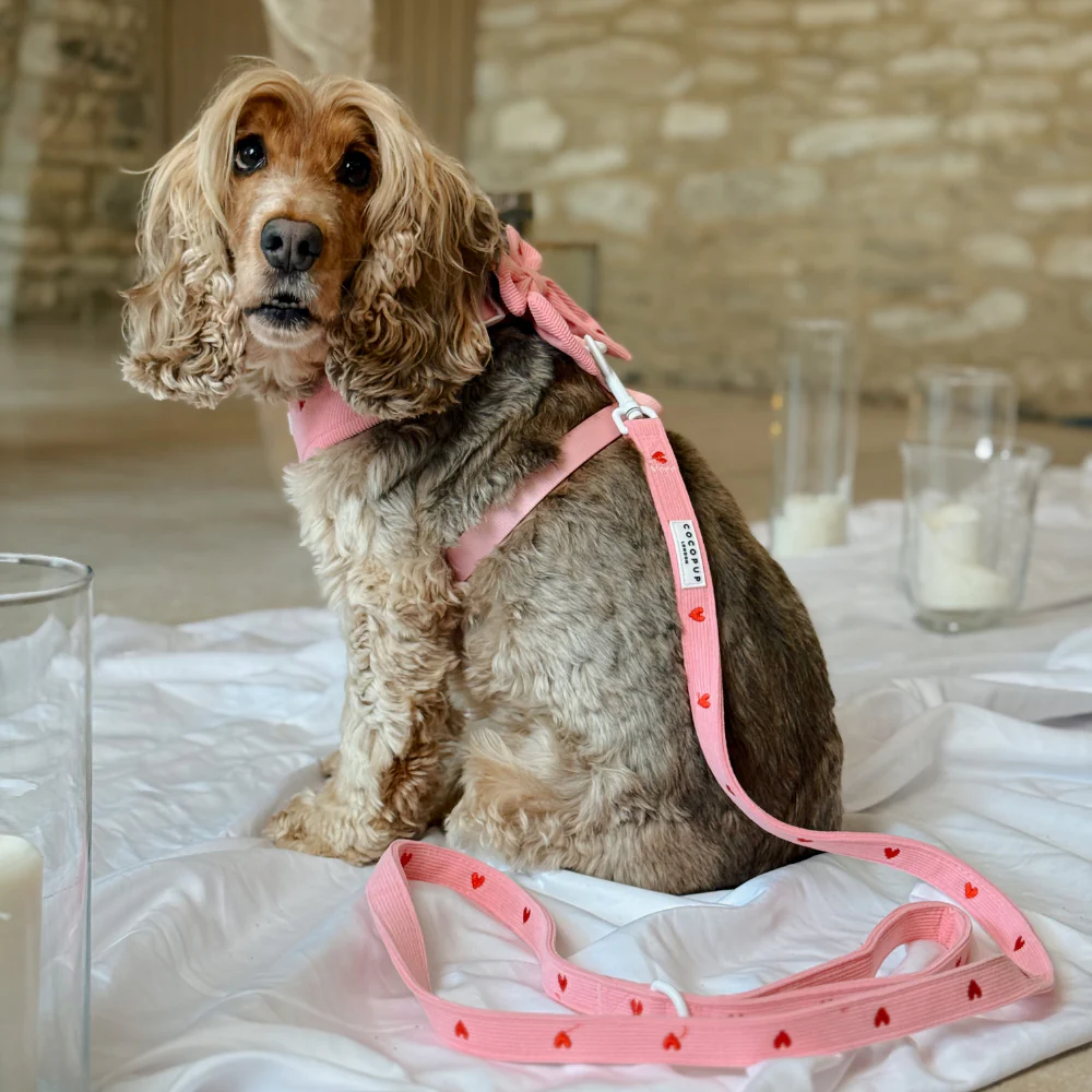 Pink Heartstrings Cord Lead - Image 4