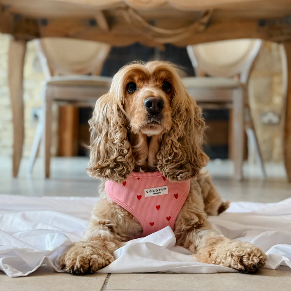Pink Heartstrings Cord Adjustable Neck HARNESS - Image 9