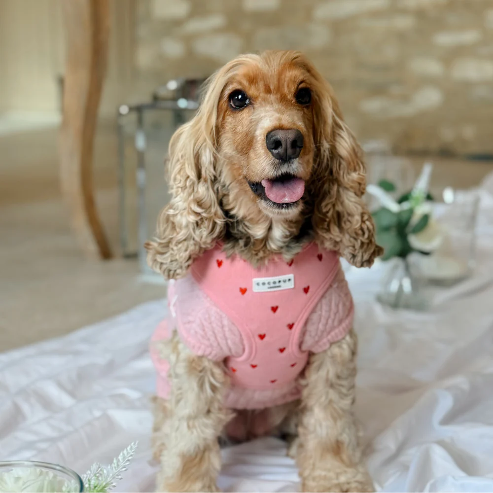 Pink Heartstrings Cord Adjustable Neck HARNESS - Image 4