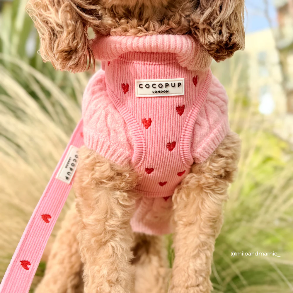 Pink Heartstrings Cord Adjustable Neck HARNESS - Image 5