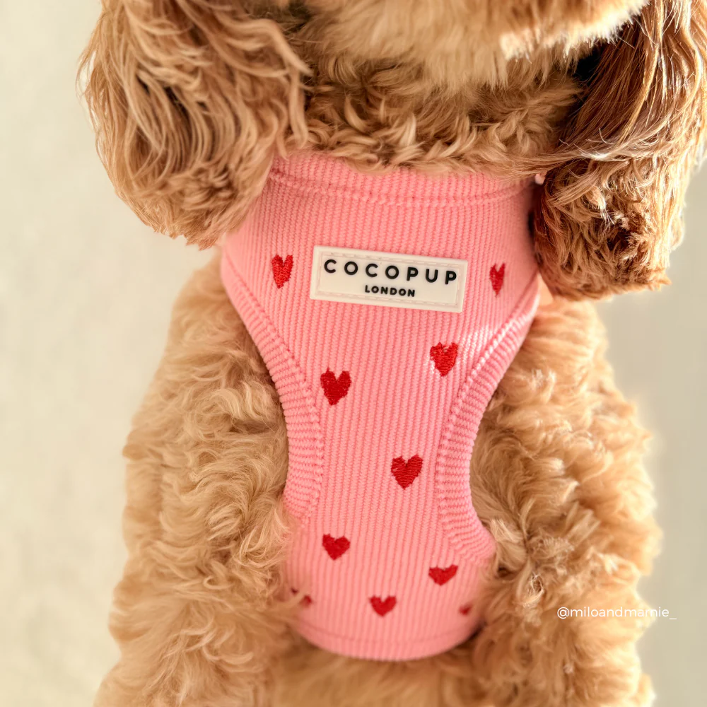 Pink Heartstrings Cord Adjustable Neck HARNESS - Image 6