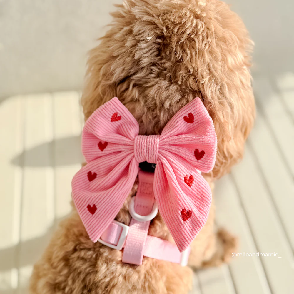 Pink Heartstrings Cord Sailor Bow Tie - Image 6