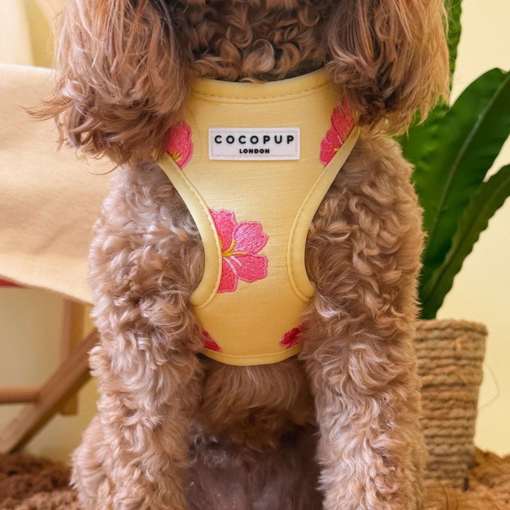 Pink Hibiscus Adjustable Neck HARNESS - Image 4