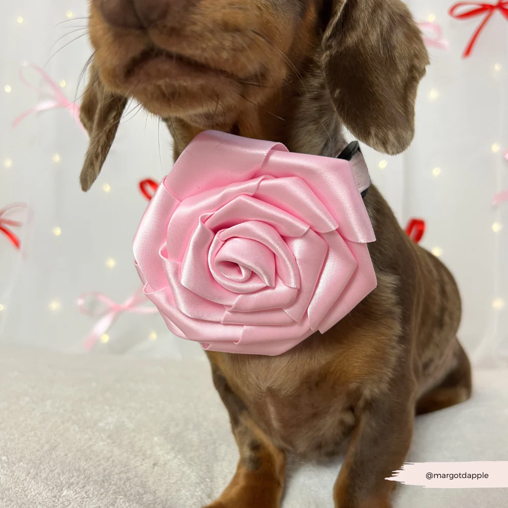 Pink Rose Collar Flower - Image 4