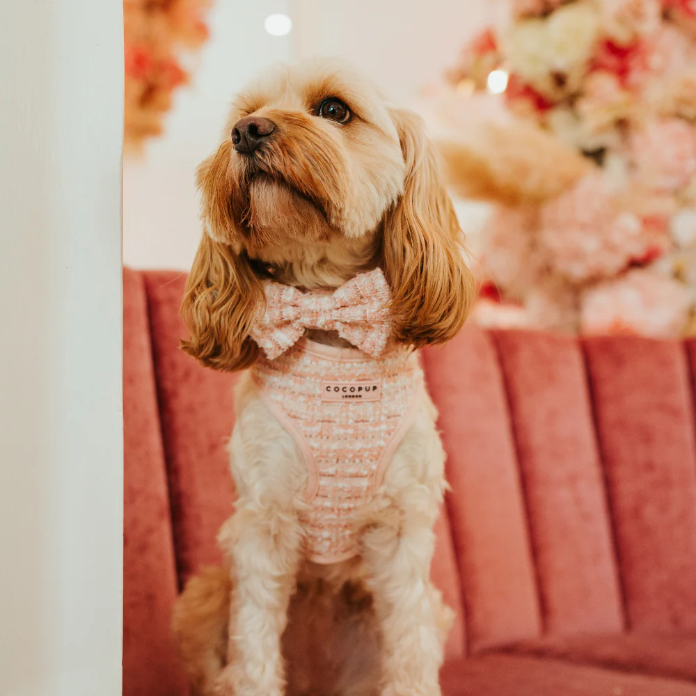 Pink Textured Tweed Adjustable Neck HARNESS - Image 12