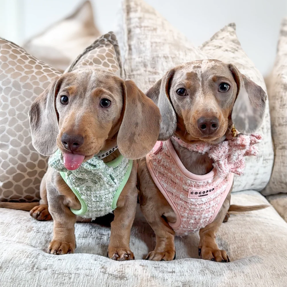 Pink Textured Tweed Adjustable Neck Harness, Lead & Collar Bundle - Image 34
